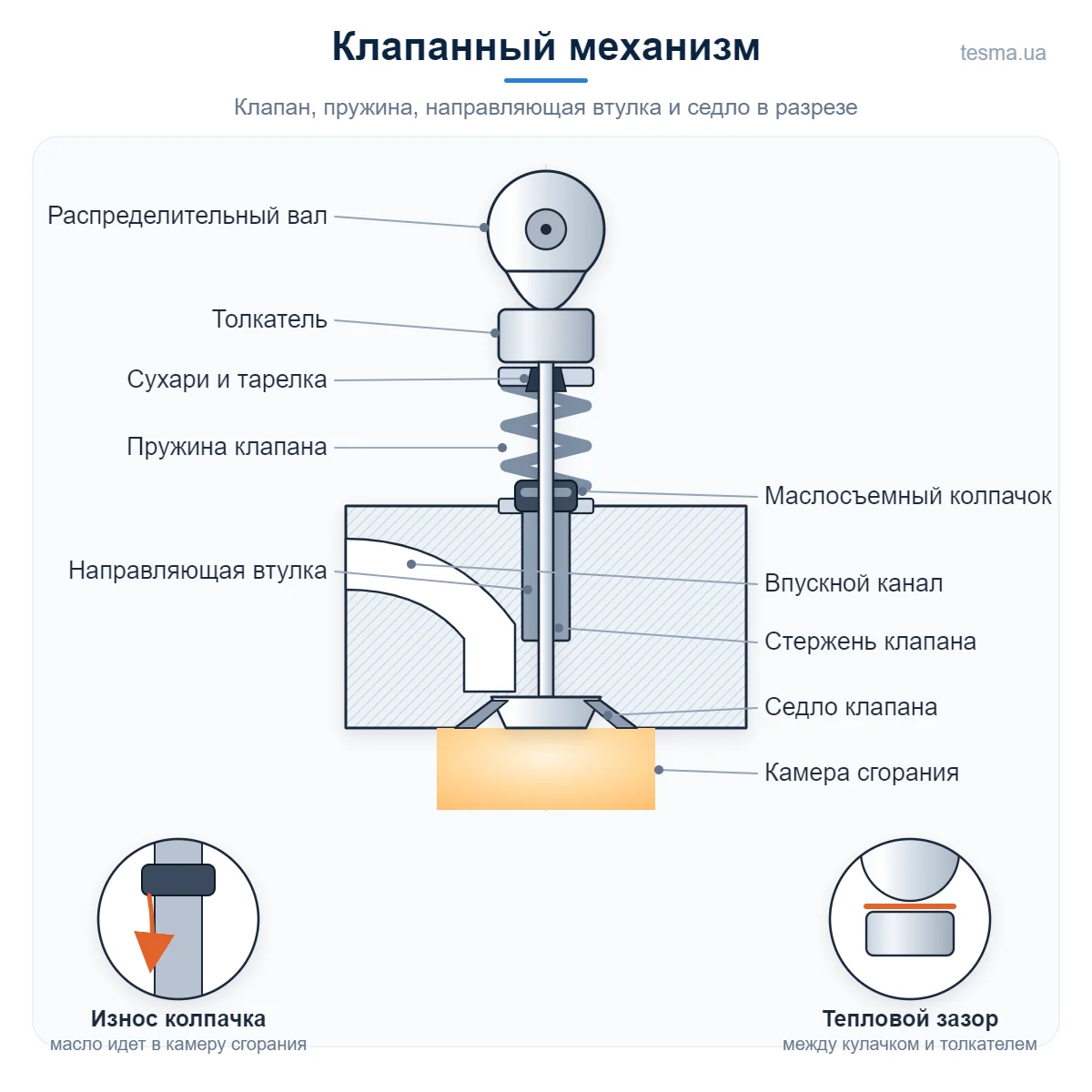 Колпачок маслосъемный клапана: схема клапанного механизма в разрезе - клапан, пружина, сухари, направляющая втулка, маслосъемный колпачок и седло