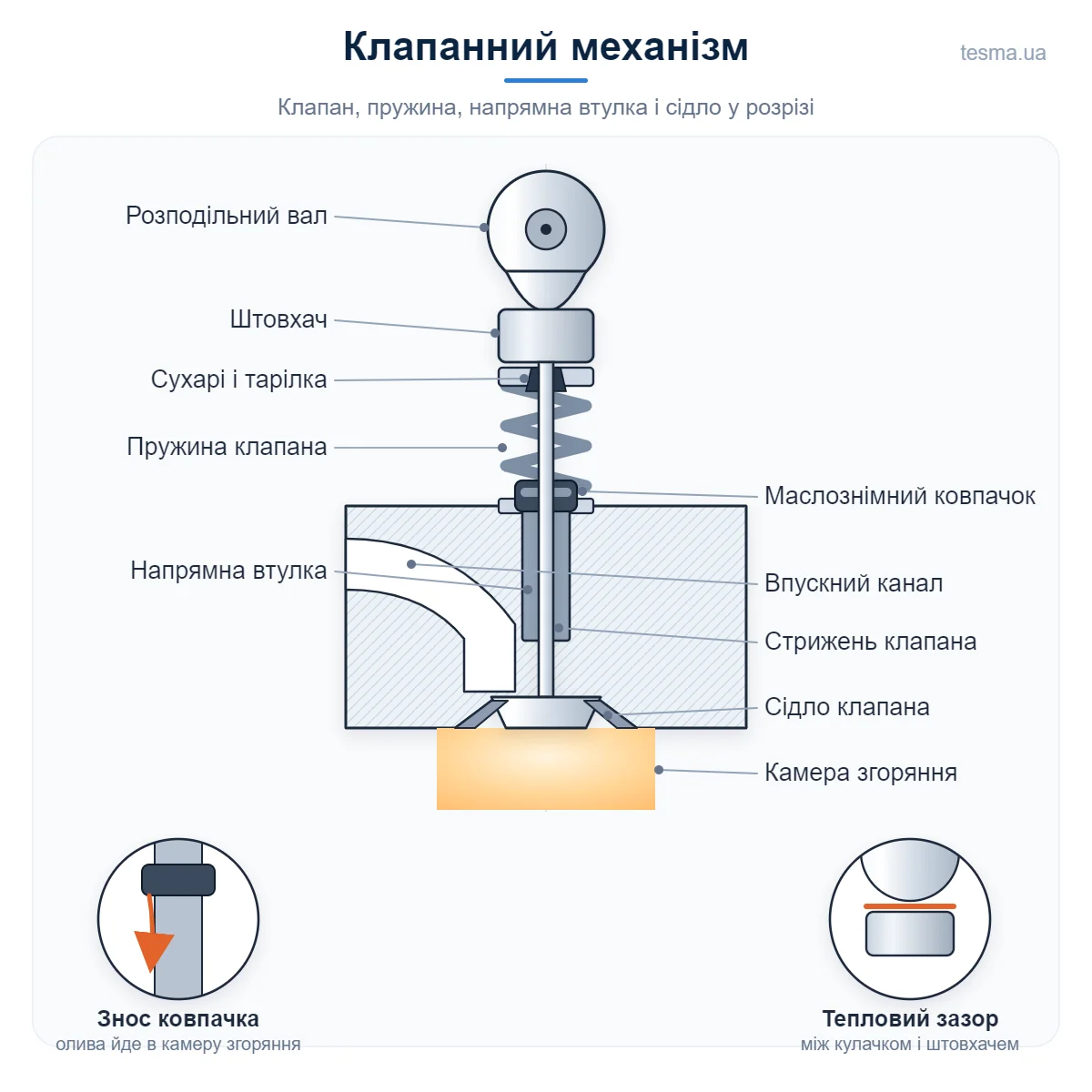 Сальник штока клапана: схема клапанного механізму у розрізі - клапан, пружина, сухарі, напрямна втулка, маслознімний ковпачок і сідло