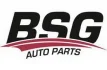 BSG