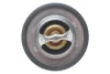Термостат Opel Vivaro 2.0/Renault Kangoo 1.6 01- (89°C) AIC 52903 (фото 4)