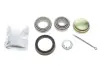 Підшипник маточини (задньої) VW Caddy II 95-04 (29x50x15/19x45x17) (к-кт) AIC 53566 (фото 1)