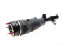 Shock Absorber. Амортизатор AIC 71126 (фото 1)