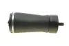 Подушка пневмопідвіски (ззаду) Land Rover Range Rover Sport/Discovery 13- AIC 71136 (фото 5)
