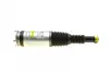 Shock Absorber. Амортизатор AIC 71149 (фото 8)