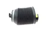 Подушка пневмопідвіски (ззаду) Toyota Land Cruiser Prado 3.0D-4D 02-10 (L) AIC 71159 (фото 4)