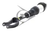 Shock Absorber. Амортизатор AIC 71169 (фото 1)