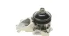 Water Pump. Насос водяний AIRTEX 1650 (фото 5)