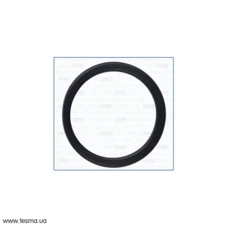 Прокладка фланца VW Golf (V,VI), Jetta (III,IV) 2.5i Ajusa AJUSA 01165600