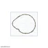 Прокладка термостату Ford Focus III, Mondeo (IV,V) 2.0i/ Mazda 3, 6, CX-7 2.0, 2.3i Ajusa AJUSA 01187900 (фото 2)
