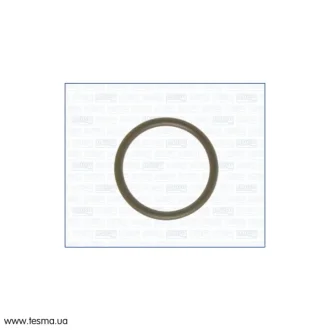 Прокладка впускного коллектора AJUSA 16015000