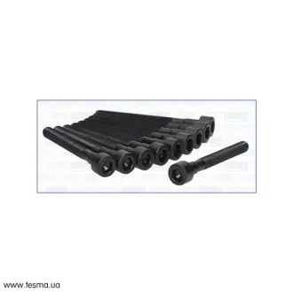 Болти головки блоку AJUSA 81029100