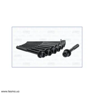 Комплект болтів ГБЦ INFINITY FX 35, QX50 I, QX60 2.5, 3.5i/ NISSAN MURANO (I,II) 3.5i (8шт) Ajusa AJUSA 81047800