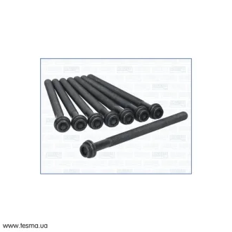Комплект болтів ГБЦ Audi A6 (C7,C8)/ VW Touareg (11-) 3.0d Ajusa AJUSA 81054300