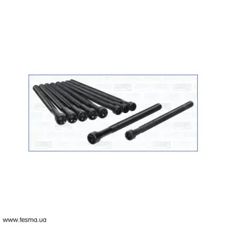 BMW К-кт болтов ГБЦ 1/F20, 3/F30, 5/F10 AJUSA 81055900