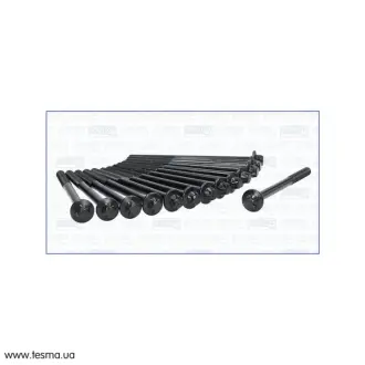 BMW К-кт болтів гбц 5/F10 M 550 d xDrive, X5/F15 M50D AJUSA 81056100