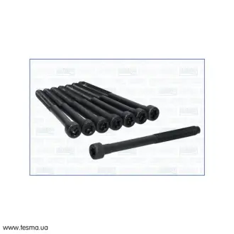 SMART К-кт болтов ГБЦ FORTWO 1.0 07- AJUSA 81062300