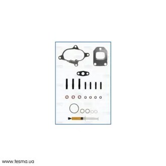 Комплект прокладок турбіни VW LT28-55 96-06. T4 90-03 AJUSA JTC11031