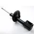 Shock absorber, suspension. Амортизатор, ходовая часть ALFA ROMEO/FIAT/LANCIA 1491971080OR (фото 1)