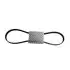 V-belt, ribbed. Ремень поликлиновый ALFA ROMEO/FIAT/LANCIA 46820062 (фото 1)
