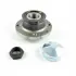 Wheel Bearing Kit. Комплект подшипника ступицы колеса ALFA ROMEO/FIAT/LANCIA 60816007 (фото 1)