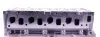 Cylinder Head. Головка блока циліндрів AMC 908556 (фото 4)