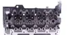 Cylinder Head. Головка блока циліндрів AMC 908556 (фото 6)