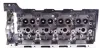 Cylinder Head. Головка блока циліндрів AMC 908572 (фото 8)