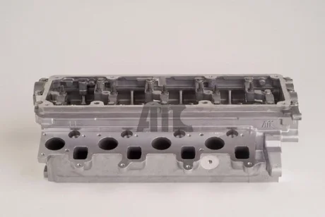 Головка блоку циліндрів к-кт (з р/в, з клапан.) 2. AMC 908800