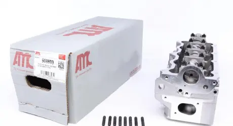 Cylinder Head. Головка блока циліндрів AMC 908803