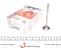 Клапан (випуск) Citroen C2/C3/Peugeot 206/307/Mazda 2 1.4HDi 01- (30.2x5.5x97.5) (азотування) AMP PCIT033A0N (фото 1)