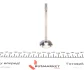 Клапан (випуск) Citroen C2/C3/Peugeot 206/307/Mazda 2 1.4HDi 01- (30.2x5.5x97.5) (азотування) AMP PCIT033A0N (фото 5)
