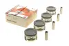 Piston. Поршень AMP PXDAE4A3548000 (фото 1)