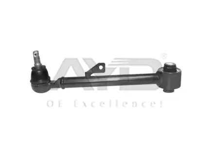 Рычаг подвески задн (кон 15.9*18.3) HYUNDAI SANTA FE II (CM) (-15), KIA SORENTO APPLUS 8817572