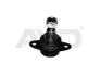Опора кульова нижнього переднього важеля BMW X3 E83 (03-11) (92-03428) AYD APPLUS 9203428 (фото 1)