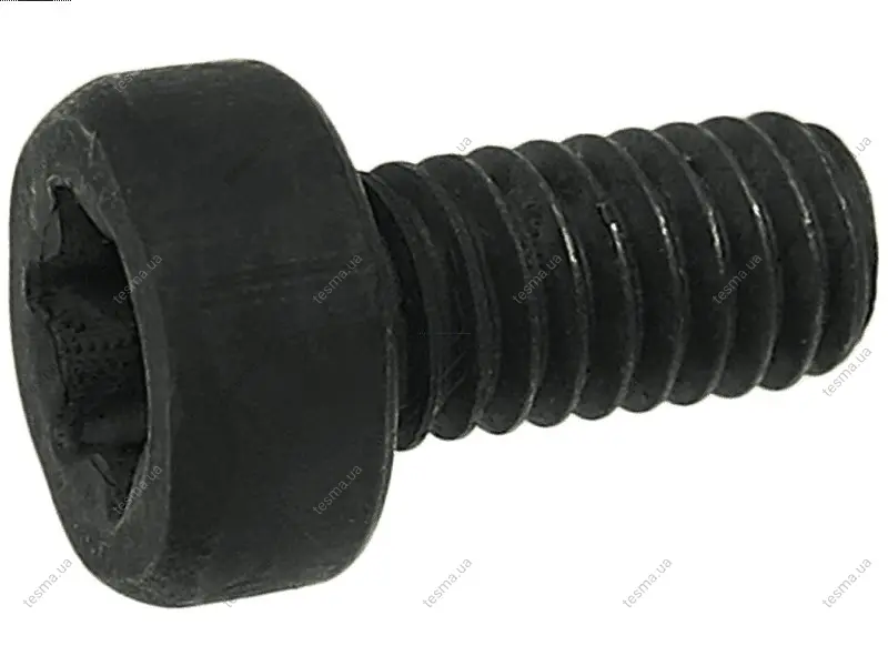 Болт з головкою системи TORX з чорного металу AS-PL SP3022S(BULK) (фото 1)