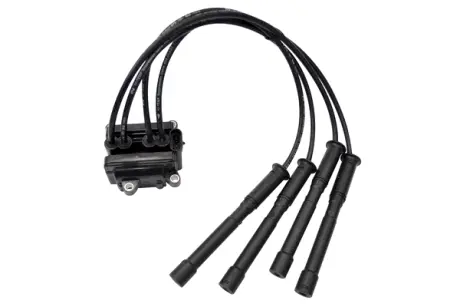 IGNITION COIL ASAM 30638