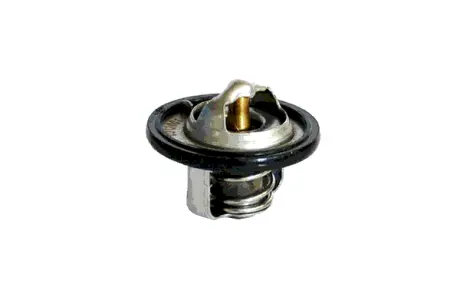 THERMOSTAT ASAM 30653