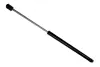 GAS SPRING TRUNK ASAM 30837 (фото 1)