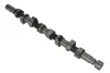 CAMSHAFT ASAM 30947 (фото 1)