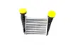 RADIATOR INTERCOOLER ASAM 32419 (фото 1)