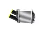 RADIATOR INTERCOOLER ASAM 32425 (фото 1)