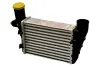 RADIATOR INTERCOOLER ASAM 32519 (фото 1)
