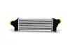 RADIATOR INTERCOOLER ASAM 32876 (фото 1)