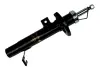 SHOCK ABSORBER ASAM 34969 (фото 1)