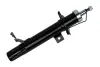 SHOCK ABSORBER ASAM 34977 (фото 1)