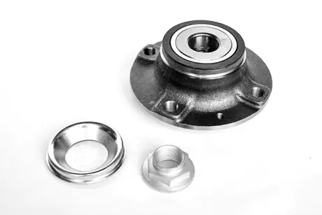 WHEEL BEARING ASAM 55299