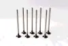 EXHAUST VALVES ASAM 55827 (фото 1)