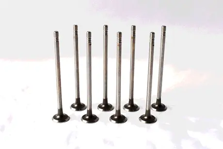 EXHAUST VALVES ASAM 55827