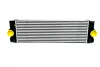 INTERCOOLER ASAM 55964 (фото 1)