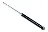 SHOCK ABSORBER REAR ASAM 70879 (фото 1)